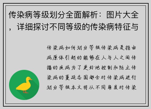 传染病等级划分全面解析：图片大全，详细探讨不同等级的传染病特征与应对策略